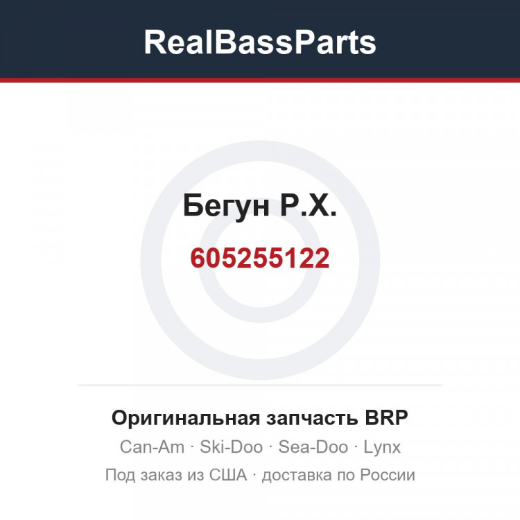 605255122 Бегун Р.Х.