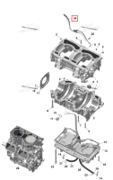 Масляный магистраль / Protective шланг в сборе Ski-Doo Summit X 850 E-TEC Turbo R (2026) (420201592)