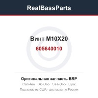 605640010 Винт M10X20