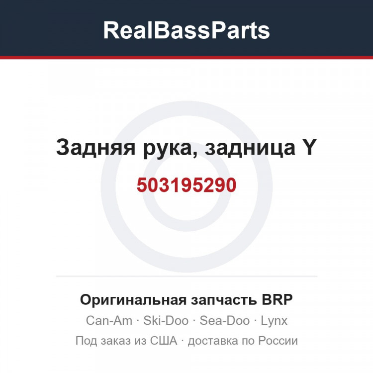 503195290 Задняя рука, задница Y