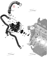 Formed шланг Sea-Doo GTX 300 (2020) (420922823)