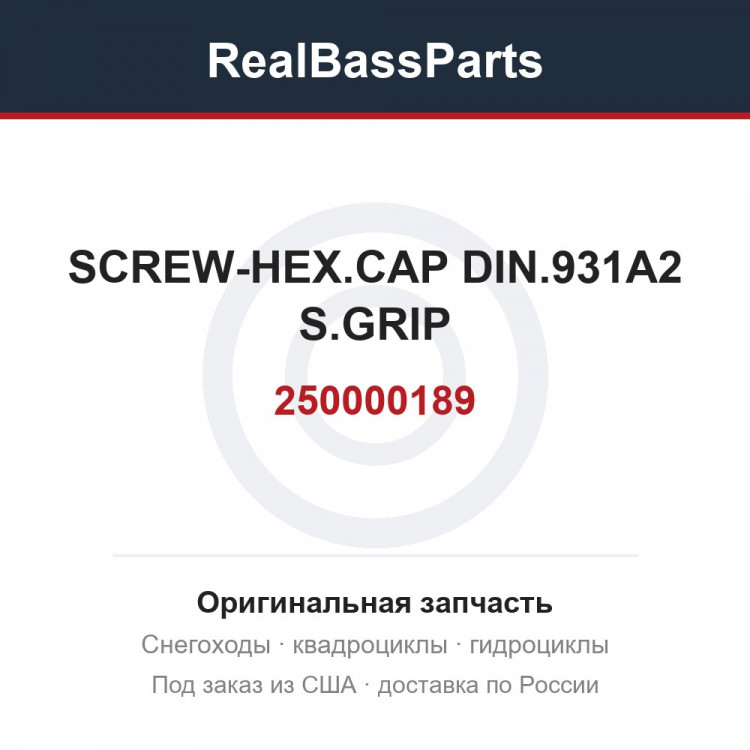 250000189 SCREW-HEX.CAP DIN.931A2 S.GRIP