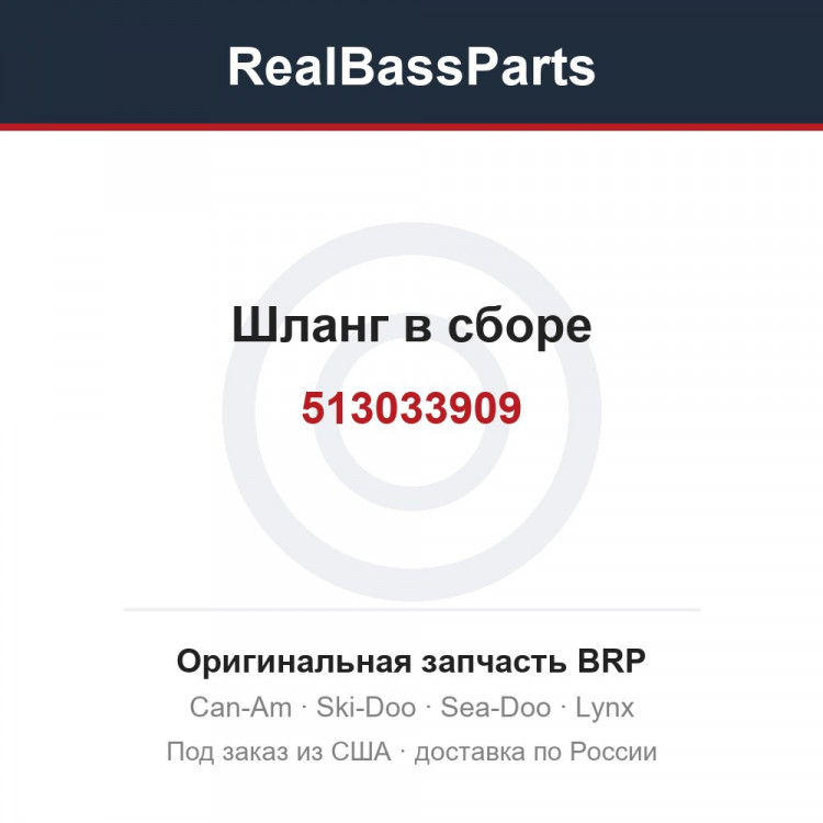 513033909 Шланг в сборе