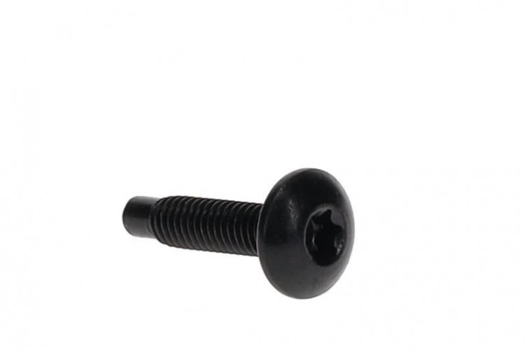 250000728 SCREW-TORX BUTTON HEAD M6 X 25