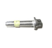 420641238 VIS HEXALOB.EPA*SCREW-TORX FLANGE Болт M6 X 25
