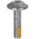 250000528 TORX-TRUSS M/S NYLON PATCH M5X20 Болт M5X20