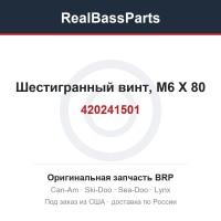 420241501 Шестигранный винт, M6 X 80