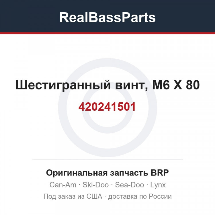 420241501 Шестигранный винт, M6 X 80