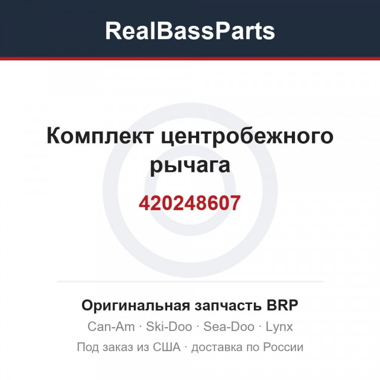 420248607 Комплект центробежного рычага