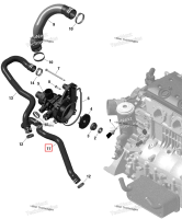 Formed шланг Sea-Doo GTX 300 (2020) (420822763)