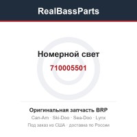 710005501 Номерной свет