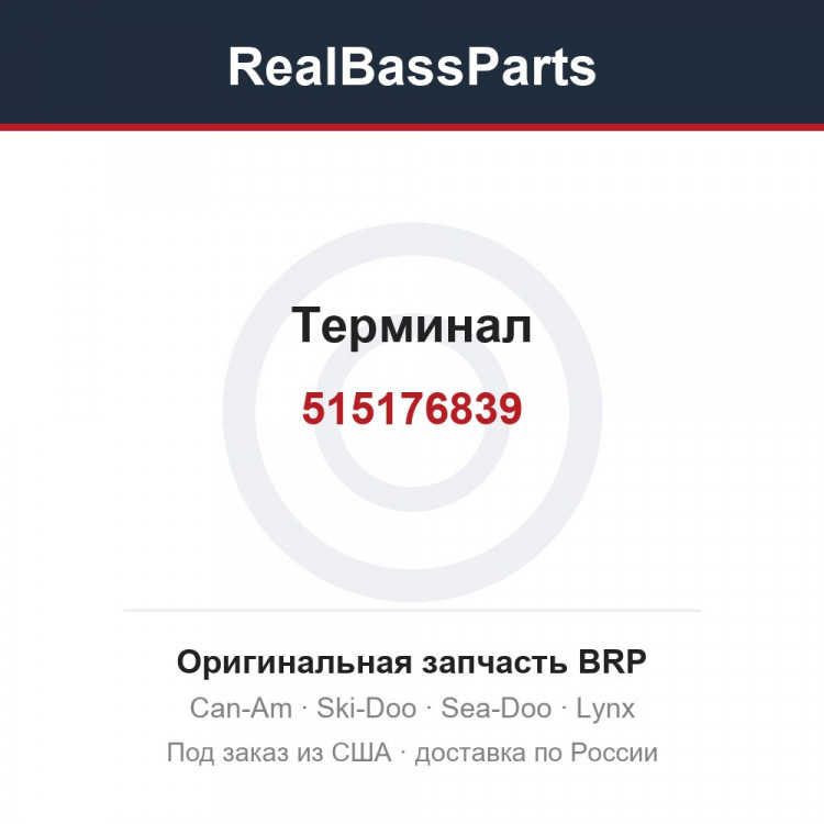 515176839 Терминал