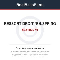 503192270 RESSORT DROIT  *RH.SPRING