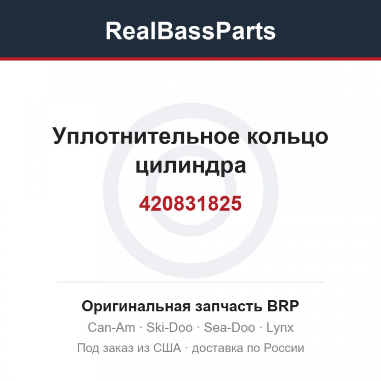 420831825 Уплотнительное кольцо цилиндра