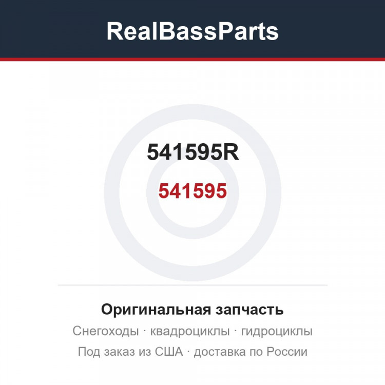 541595R