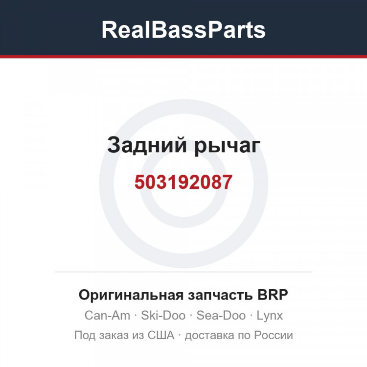 503192087 Задний рычаг