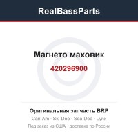 420296900 Магнето маховик