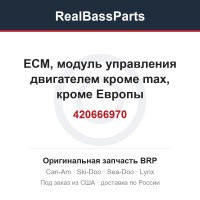 420666970 ECM, модуль управления двигателем кроме max, кроме Европы