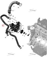 Formed шланг Sea-Doo GTX 300 (2020) (420822768)