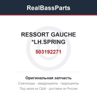 503192271 RESSORT GAUCHE *LH.SPRING