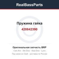 420842390 Пружина гайка