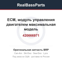 420666971 ЕСМ, модуль управления двигателем максимальная модель
