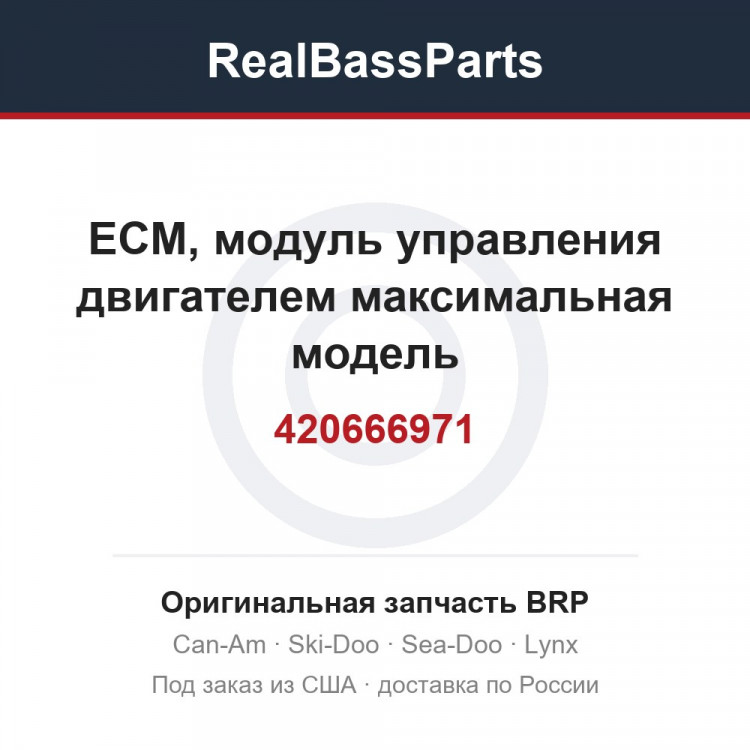 420666971 ЕСМ, модуль управления двигателем максимальная модель