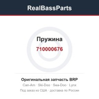 710000676 Пружина
