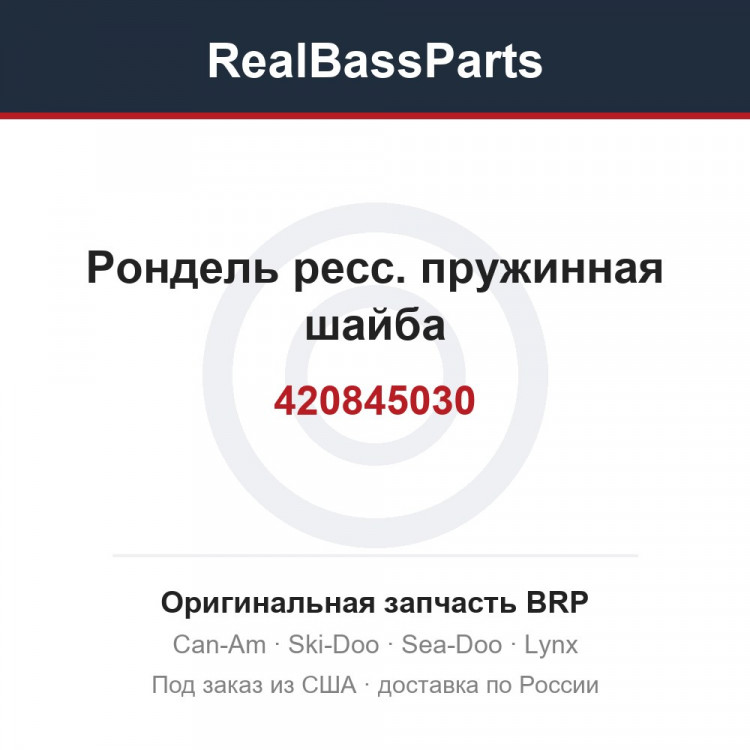 420845030 Рондель ресс. пружинная шайба