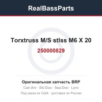 250000829 Torxtruss M/S stlss M6 X 20