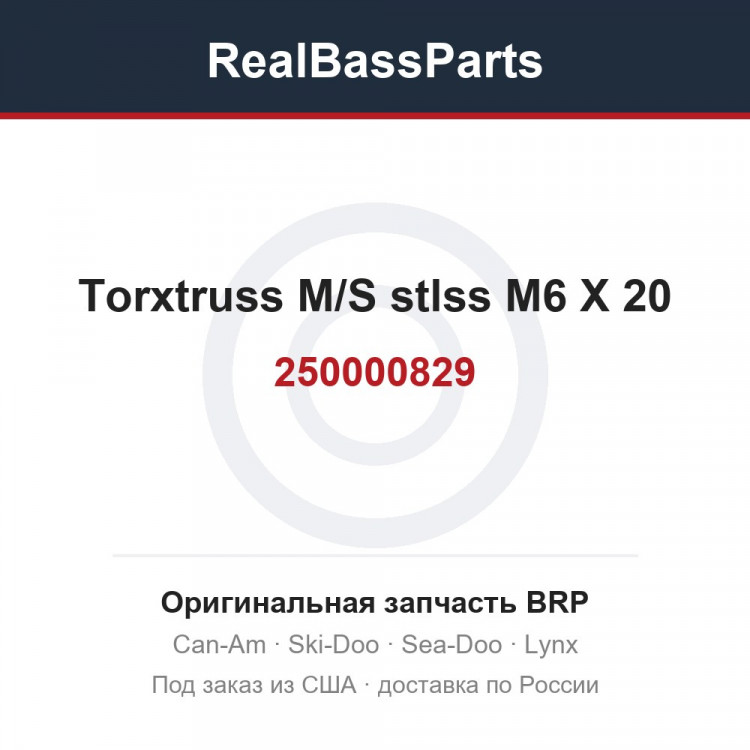250000829 Torxtruss M/S stlss M6 X 20