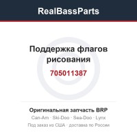 705011387 Поддержка флагов рисования