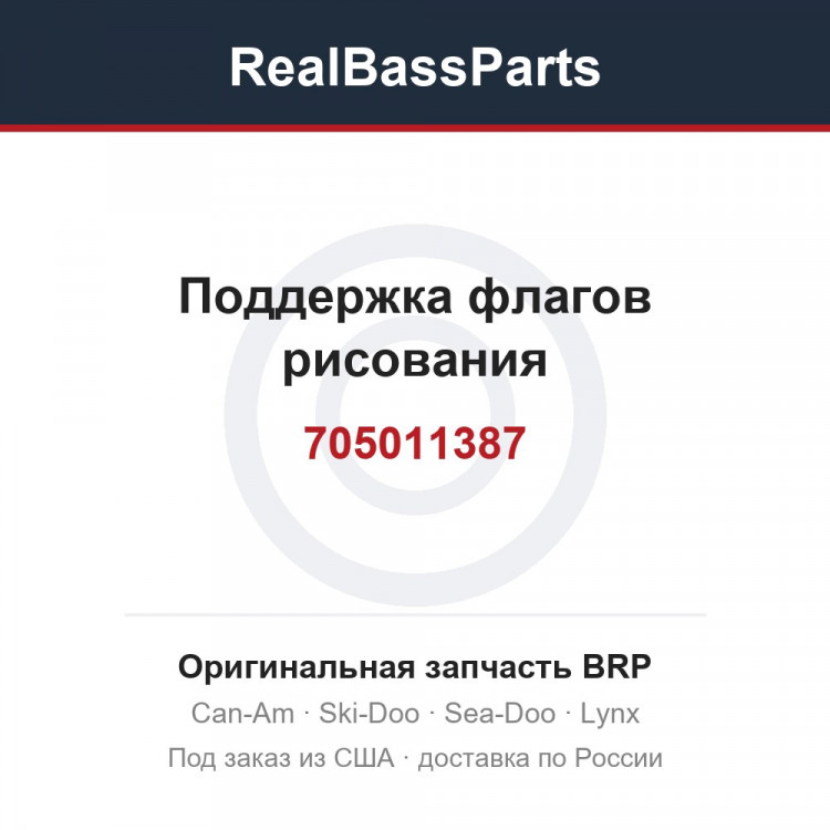 705011387 Поддержка флагов рисования