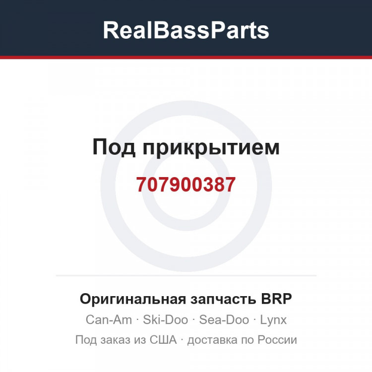707900387 Под прикрытием