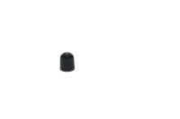 293000110 Valve Cap