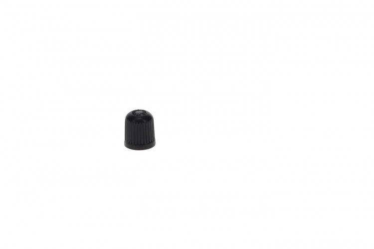 293000110 Valve Cap