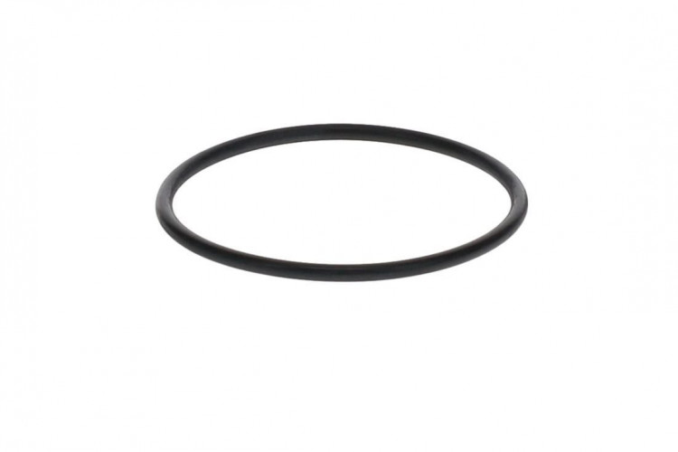 420650270 O-RING