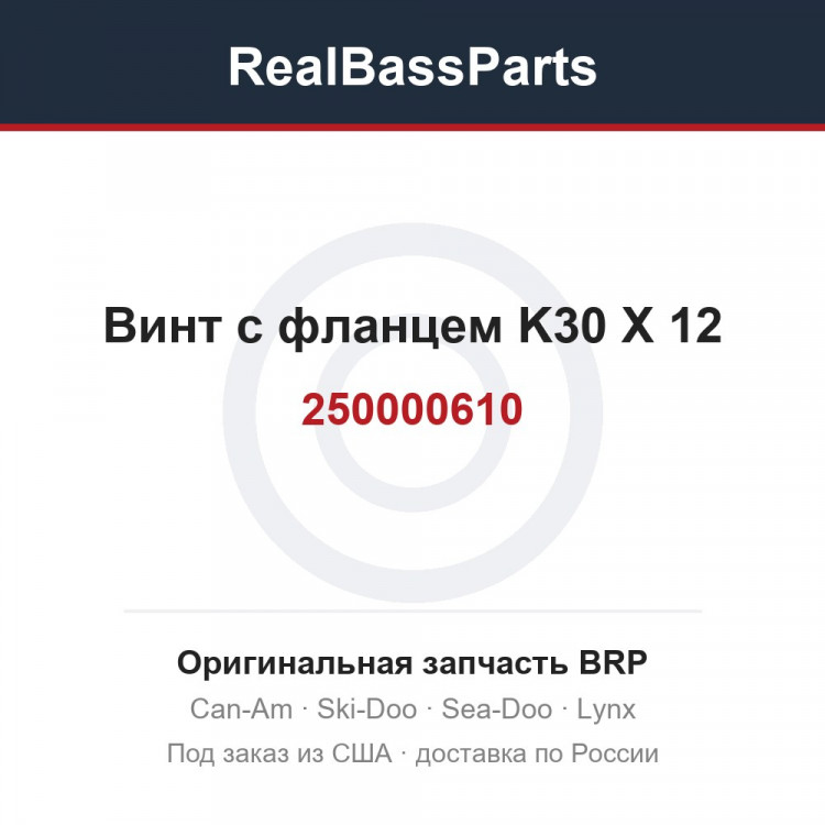 250000610 Винт с фланцем K30 X 12