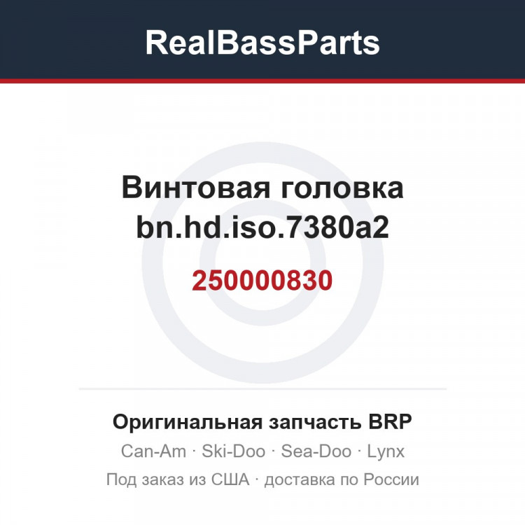 250000830 Винтовая головка bn.hd.iso.7380a2