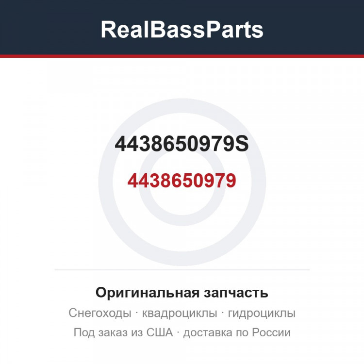 4438650979S