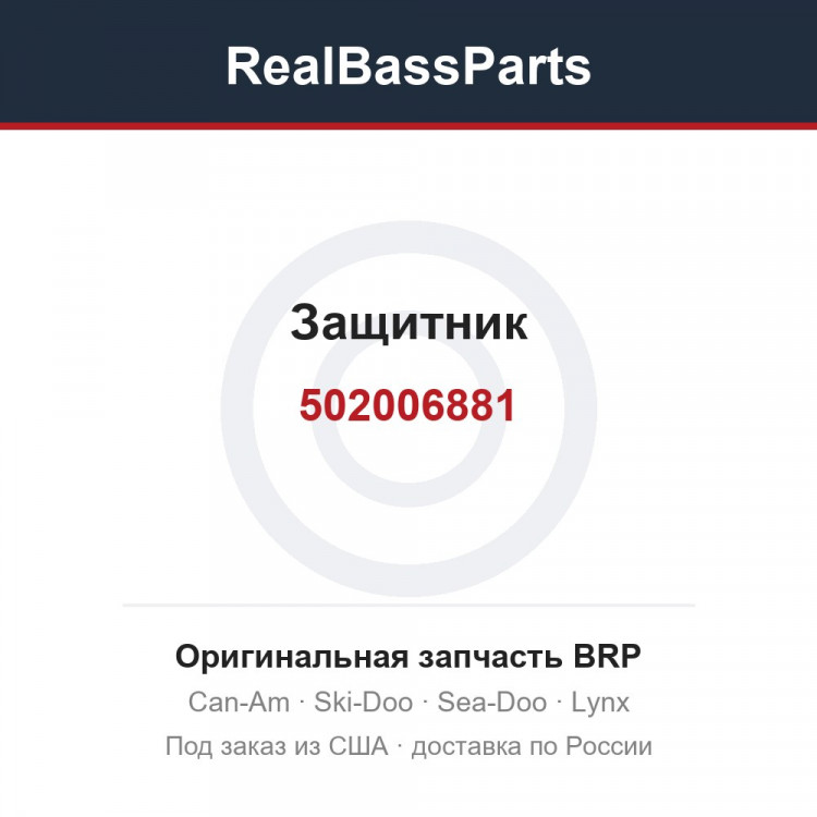 502006881 Защитник