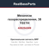 420254309 Механизм газораспределения, 38 TEETH
