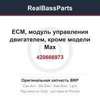 420666973 ECM, модуль управления двигателем, кроме модели Max