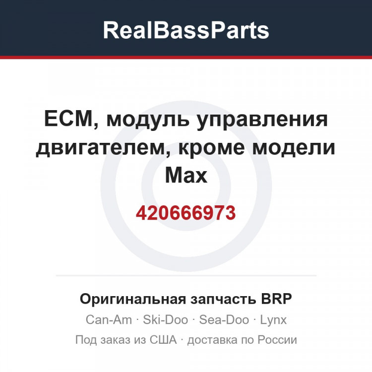 420666973 ECM, модуль управления двигателем, кроме модели Max