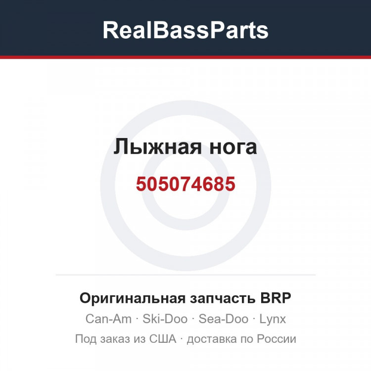 505074685 Лыжная нога