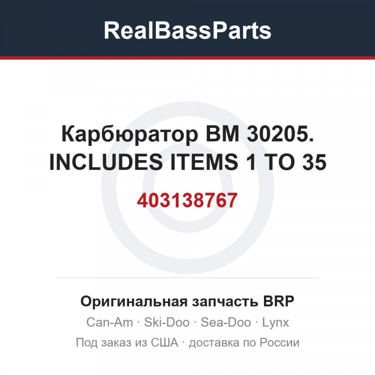 403138767 Карбюратор ВМ 30205. INCLUDES ITEMS 1 TO 35