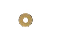391301600 RONDELLE       *WASHER