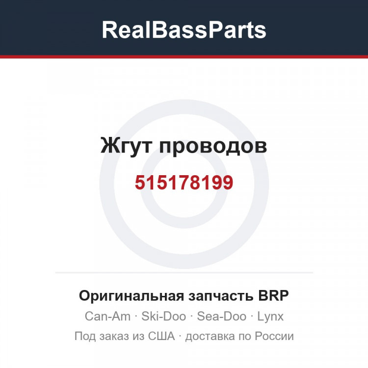 515178199 Жгут проводов