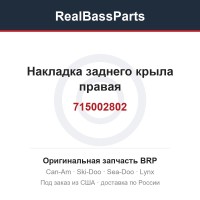 715002802 Накладка заднего крыла правая