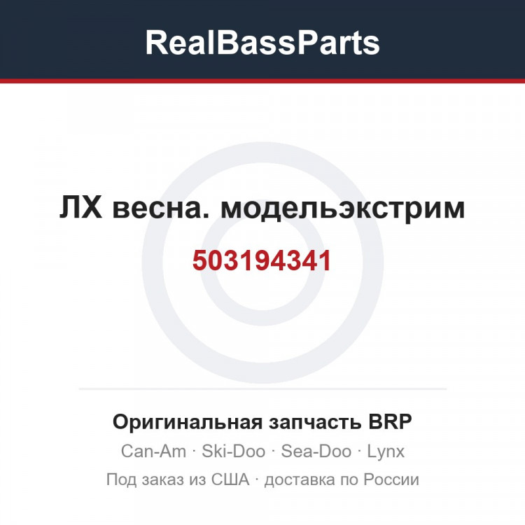 503194341 ЛХ весна. модельэкстрим